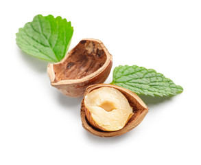 Tasty hazelnuts on white background