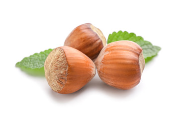 Tasty hazelnuts on white background