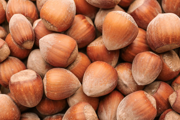 Many tasty hazelnuts as background