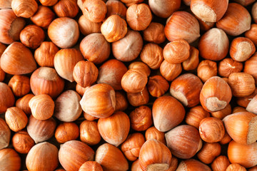 Many tasty hazelnuts as background