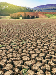 Fototapeta premium Climate change is everyone's problem, we have time to solve it.