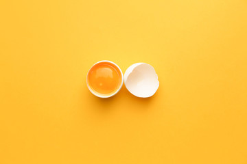 Broken raw egg on color background