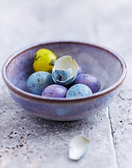 Colorful quail egg in a ceramic cup. Bright stone background.
