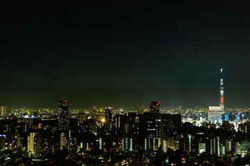 Fototapeta premium Tokyo skytee nightview
