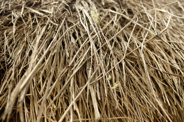 Thatched roof close up Machu Picchu