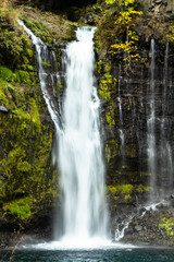 Fototapeta na wymiar Shiraito waterfalls