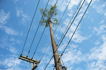 Electrical transmission network - Paranapiacaba