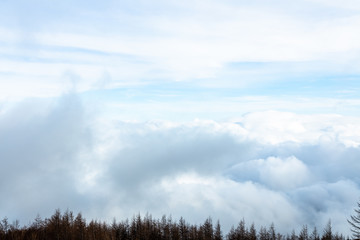Obraz na płótnie Canvas hill and cloud