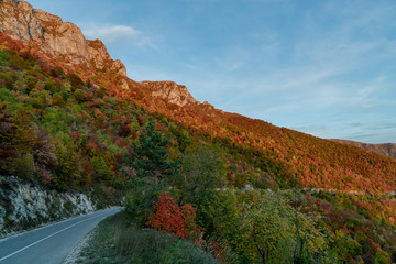 Asphalt mountain road among the yellow autumn trees and high rocks