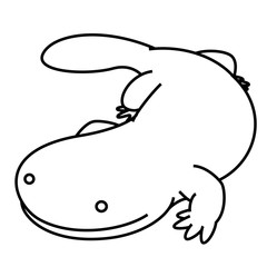 オオサンショウウオ