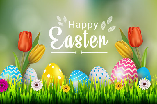 beautiful background for happy easter graphic design vector illustration