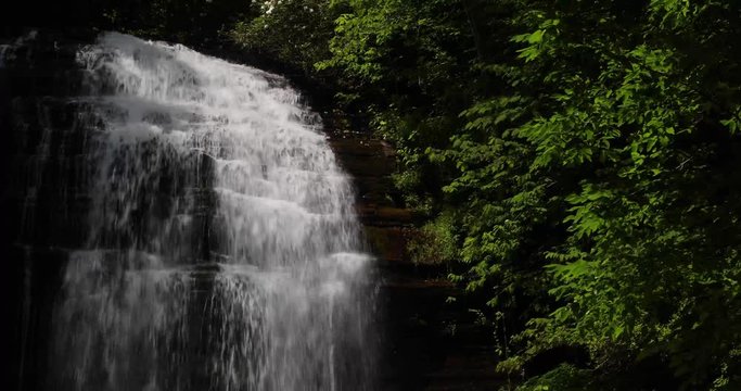Pearson Falls, a beautiful wide cascading waterfall in the mountain woods of North Carolina, splashes over rocks in this perfectly seamless video loop