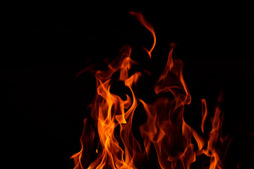 Fire flames ,Fire  on black background,Bonfire fire close-up
