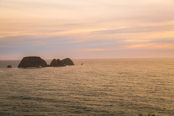 Obraz na płótnie Canvas West Coast Sunset on the Beach