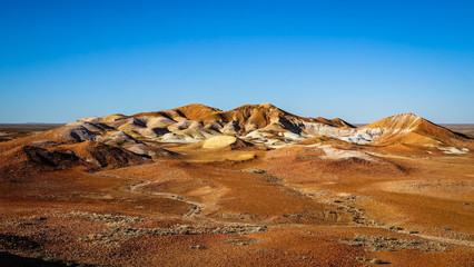 Amazing color of Kalaya (Emu) in Kanku-Breakaway Conservation Park, South Australia, Australia