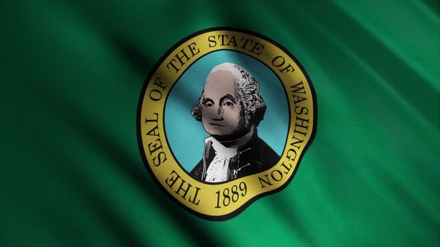 Abstract Washington state's flag waving in the wind. Animation. The flag consists of the state seal, displaying an image of George Washington, on a field of dark green with gold fringe.