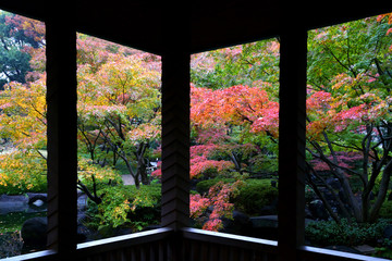 カラフルな秋の日本庭園