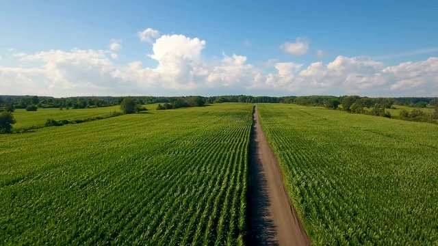 Summer Crops in Canadian Farm Land Aerial Background