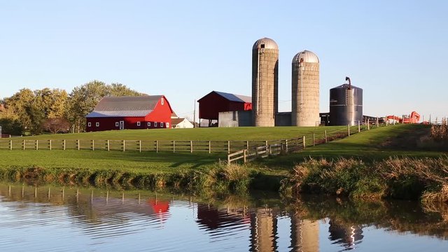 Seamless video loop features a farm with red barns and silos reflected upon a pond with ripples on a tranquil and peaceful morning in the Midwest of America.