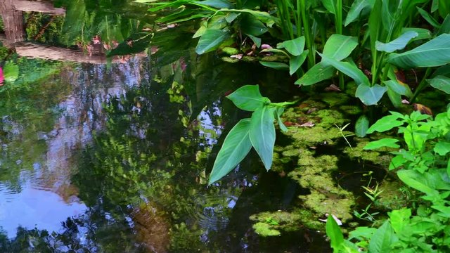 4K video of Chet Si fountain in Chiangmai province, Thailand.