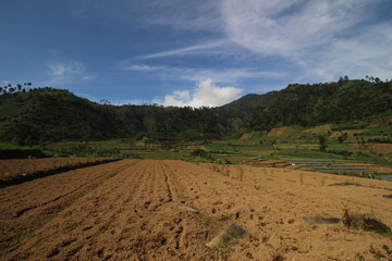 Obraz premium agriculture on the slopes of the mountains under the blue sky