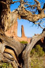 Arches National Park