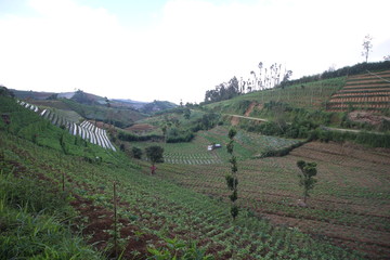 agriculture on the slopes of the mountains under the blue sky