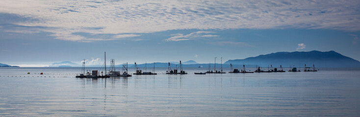 Fototapeta na wymiar Boats in the water on an island in the Pacific Northwest