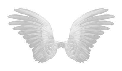 white wings on white background