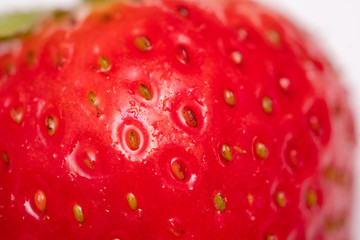 Fresh wet Red ripe strawberry close up seeds.