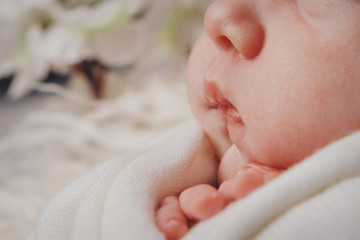 newborn baby's face close up: eyes, nose, lips. concept of childhood, health care, IVF, hygiene, ENT