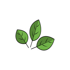 leaf icon in trendy flat design