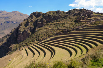 Green 12 foot plateaus above Pisac peru