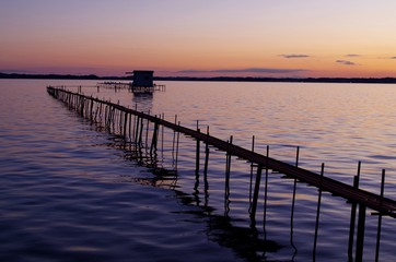 Fototapeta premium Kasumigaura o zachodzie słońca