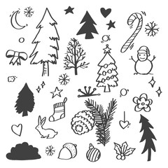 Hand sketched floral design elements for Christmas - hand drawn vector illustration