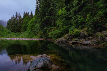 Pine trees reflecting in the crystal clear water of a lake on a cloudy day in Lynn Canyon Park forest, Vancouver, Canada