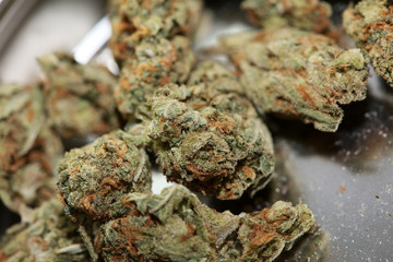 Cannabis bud medical strawberry haze macro background high quality fifty megapixels prints