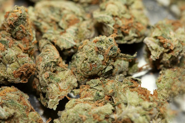 Cannabis bud medical strawberry haze macro background high quality fifty megapixels prints