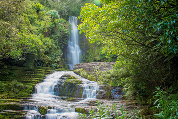 Fototapeta premium McLean Falls