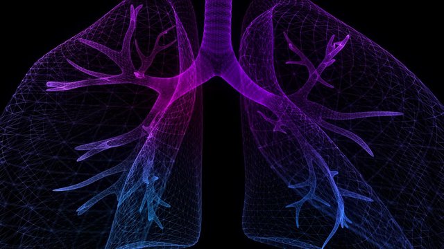 Human lungs. Blue light dot and lines formation human lungs model. Motion animated neurons in 3d virtual space.