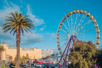 Ferris wheel running under blue sky with palm tree