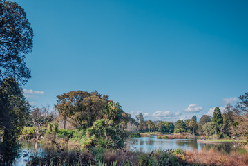 Forest and lake at the Royal Botanic Gardens Victoria,