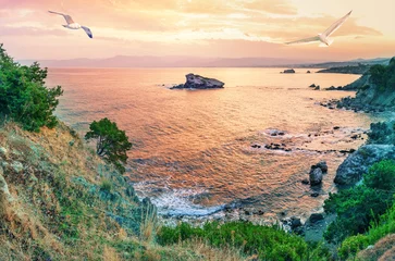 Schilderijen op glas Cape Akamas Bay with seagulls in sky at sunset © alexlukin