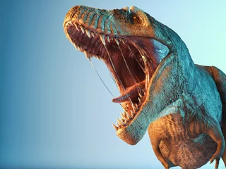 Crédence de cuisine en verre imprimé Dinosaures T rex roar