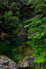 Obraz premium Pine trees reflecting in the crystal clear water of a lake on a cloudy day in Lynn Canyon Park forest, Vancouver, Canada