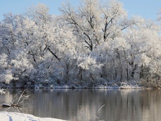 Beautiful view of trees covered by ice and snow by the pond on a winter morning