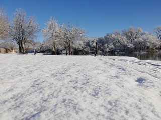 Tranquil winter morning scene by the pond, with freshly fallen snow covering the ground