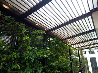 Green wall, wood ceiling and glass canopy material in the backyard