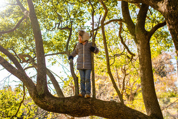 Fototapeta na wymiar 木登りをする女の子