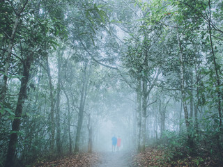 trekking and camping concept from couple in raincoat walk in foggy tropical forest.